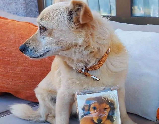 Viviendas Turisticas El Carrascal Hostel