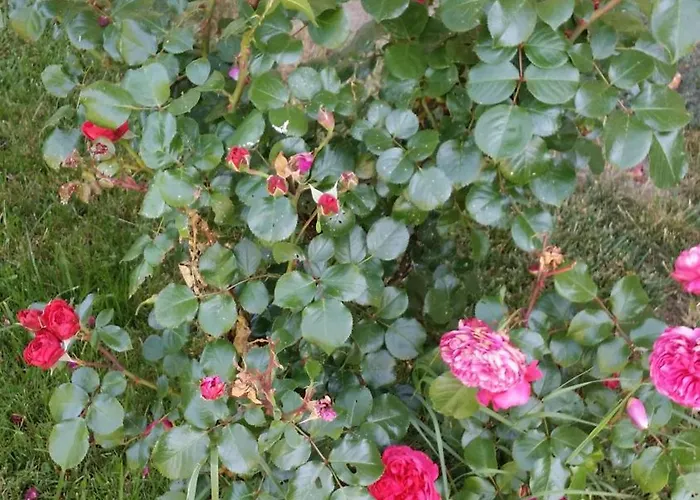 Viviendas Turisticas El Carrascal La Gandara