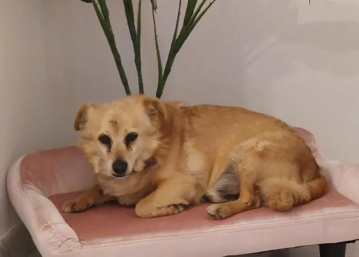 Viviendas Turisticas El Carrascal La Gandara